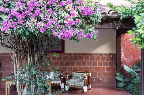 Hotel Boutique La Candela image 17