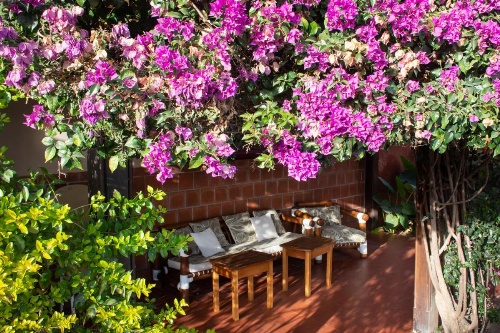 Hotel Boutique La Candela image 19